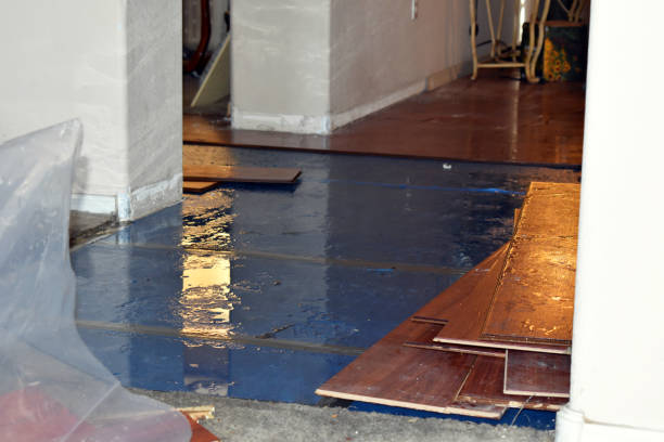 Professional Flood Damage Repair technician working in Petersburg, TX